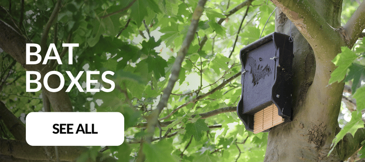 Bat Boxes