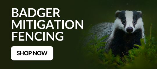 Badger Mitigation Fencing