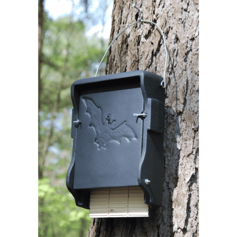 Schwegler 1FF Flat Bat Box