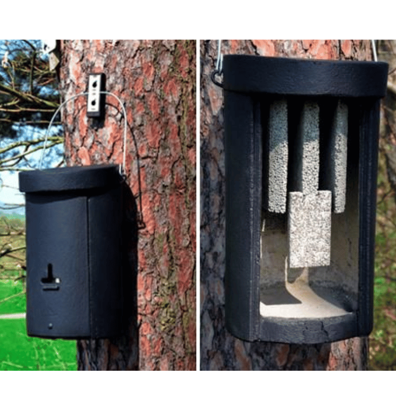 Schwegler 3FS Colony Bat Box